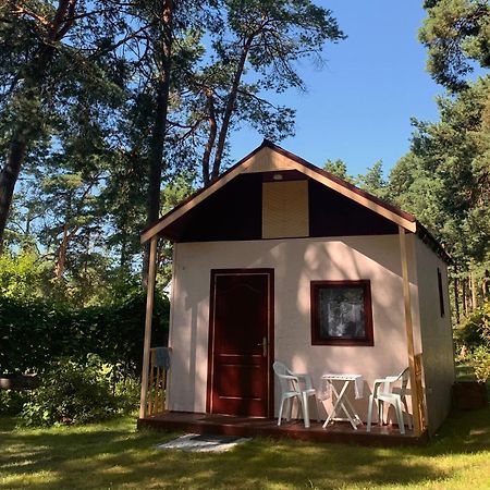 Villa Zem Priedem Lapmežciems Exterior foto